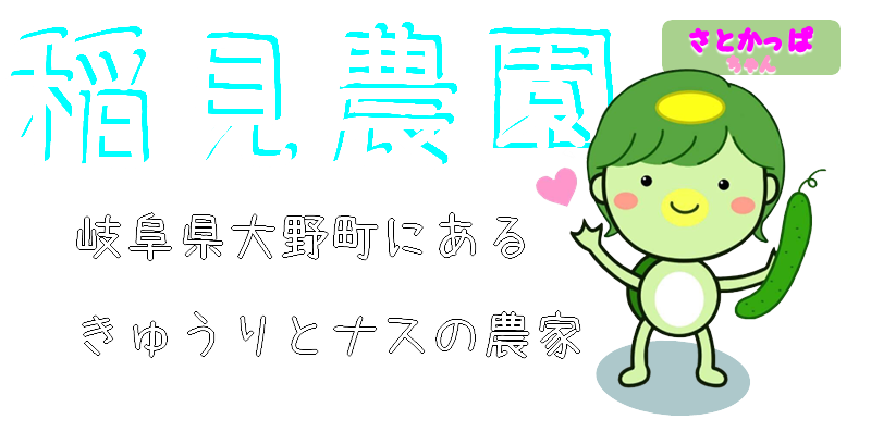 稲見農園-きゅうりとなすの農家　岐阜県揖斐郡大野町